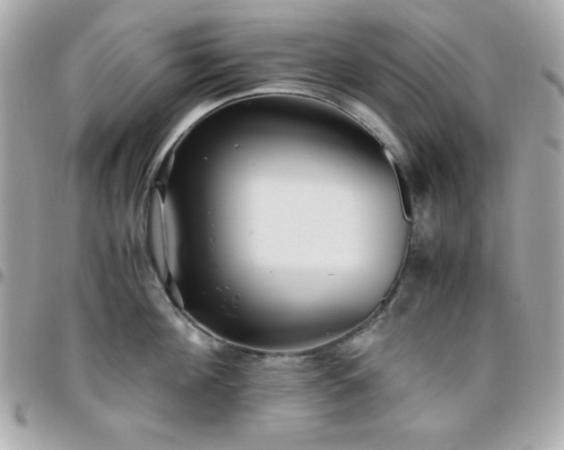 X0000096420908200801241314
