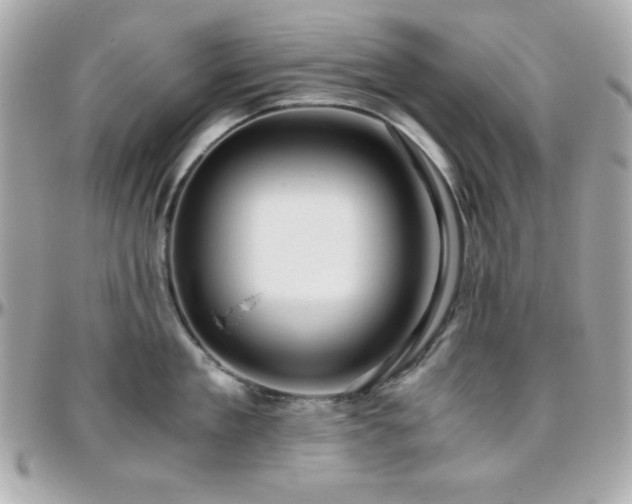 X0000096420909200801241314