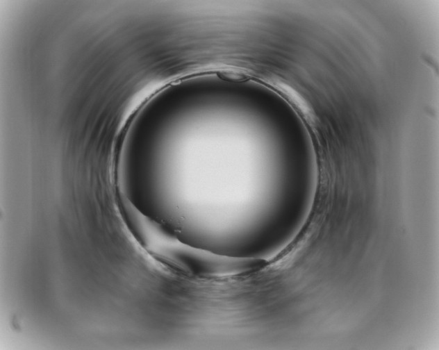 X0000096420910200801241314