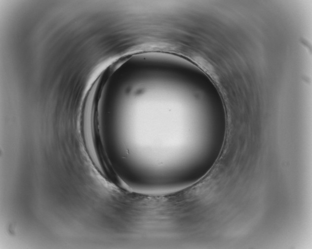 X0000096420912200801241314