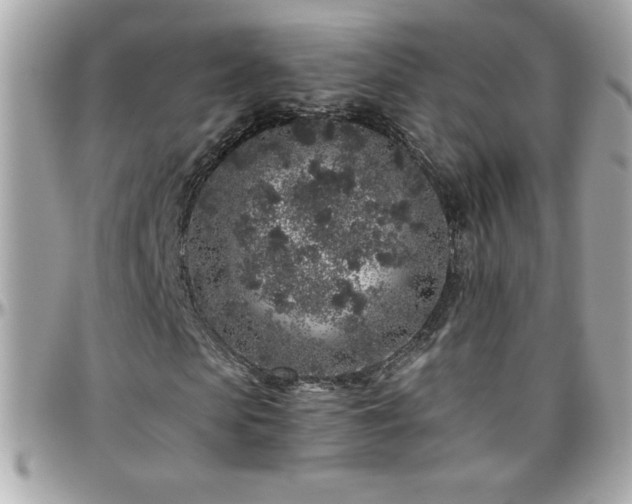 X0000096420913200801241313