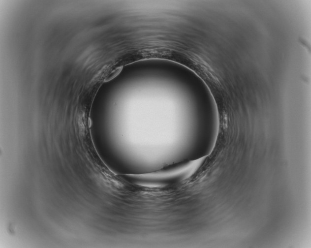 X0000096420915200801241313