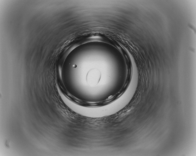 X0000096420916200801241313