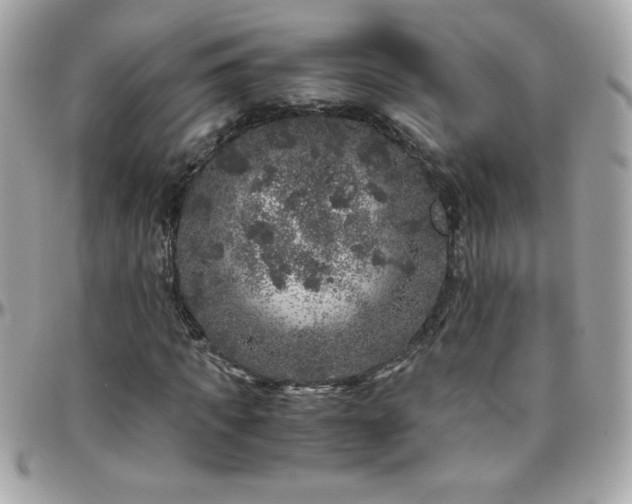 X0000096420917200801241314