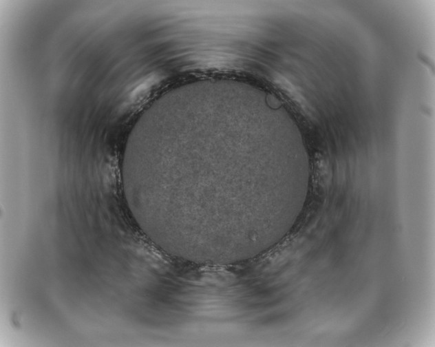 X0000096420918200801241314