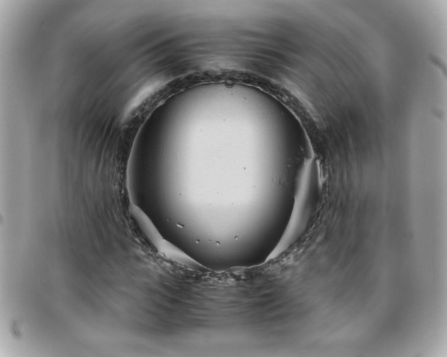 X0000096420919200801241314