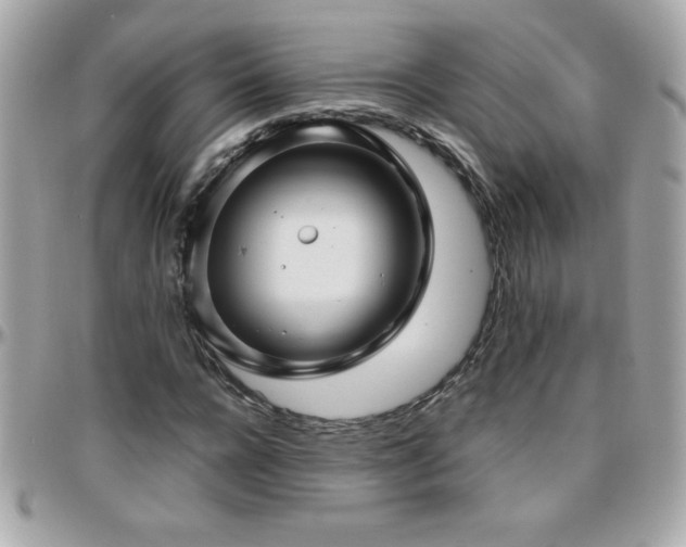 X0000096420920200801241314