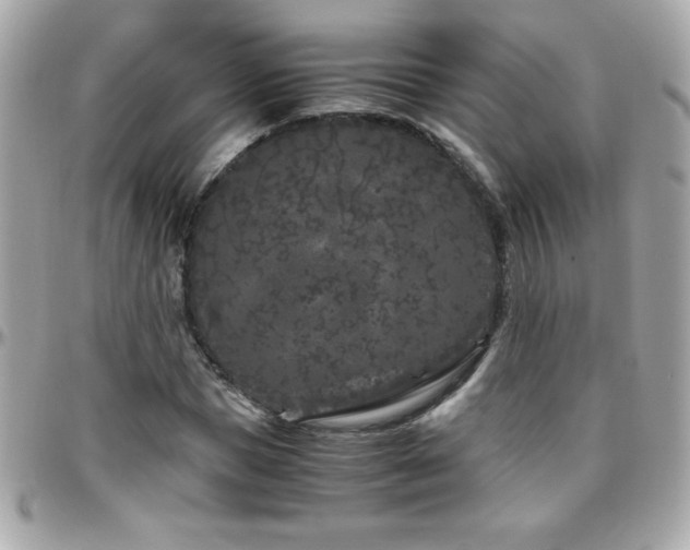 X0000096420921200801241314