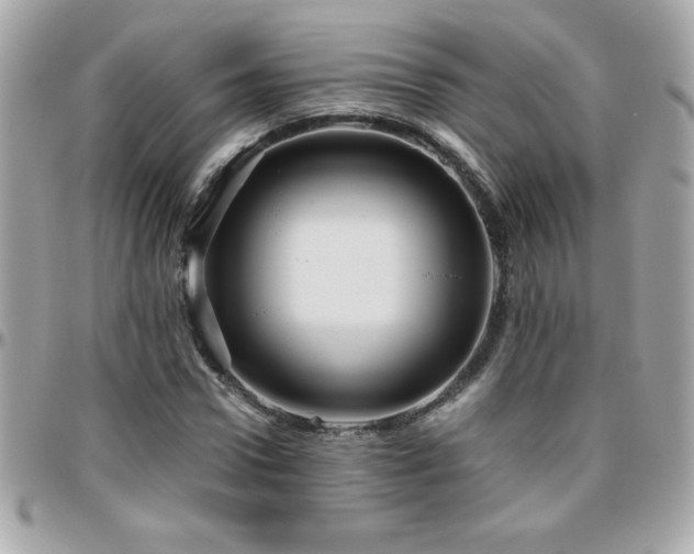 X0000096420922200801241314