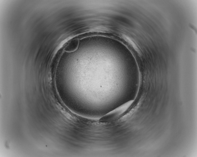 X0000096420923200801241314