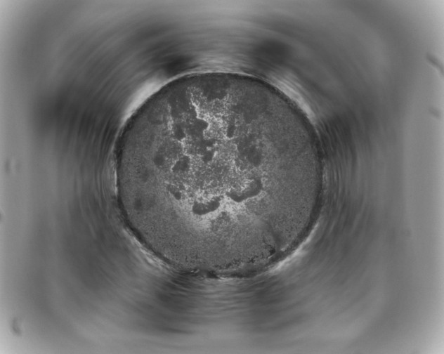X0000096420925200801241314