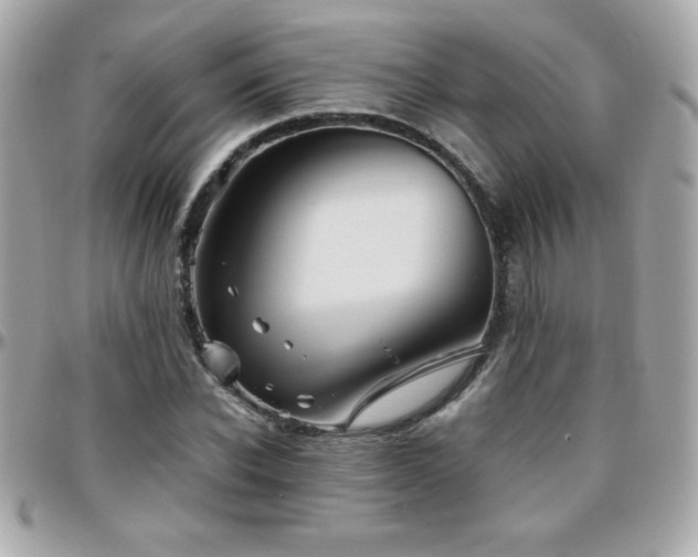 X0000096420926200801241314