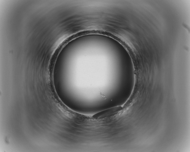 X0000096420927200801241314