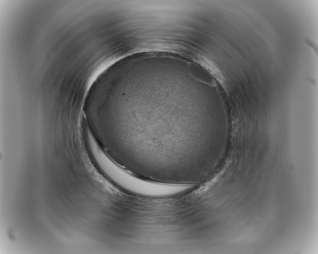 X0000096420928200801241314