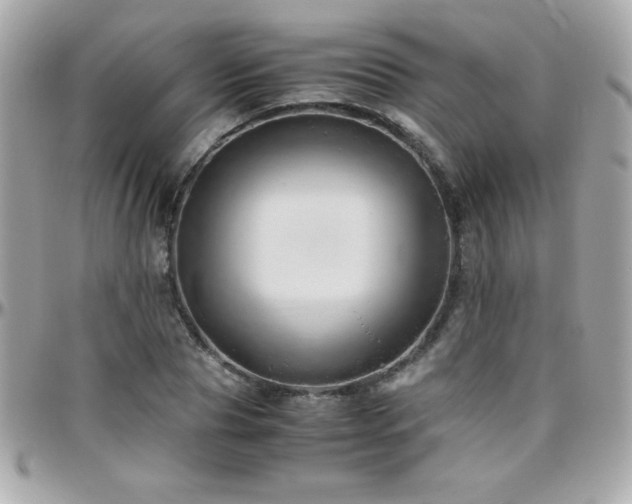 X0000096420929200801241314