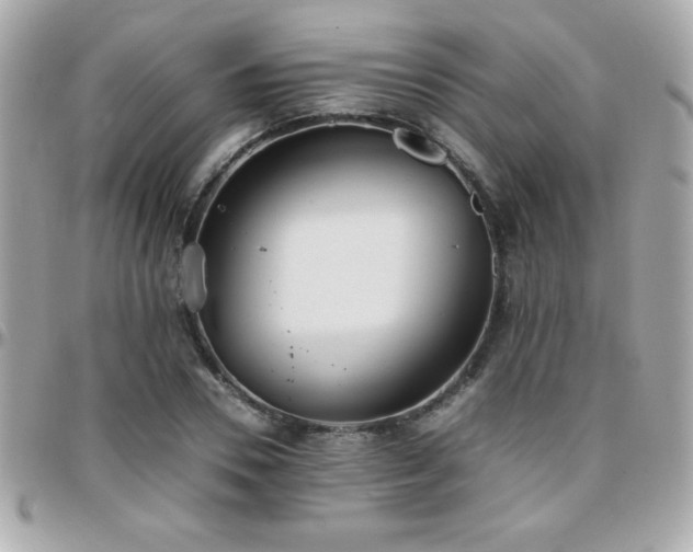 X0000096420930200801241314