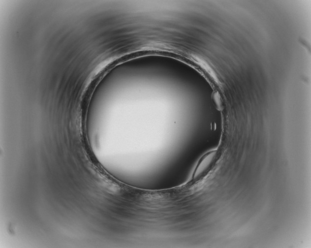 X0000096420931200801241314