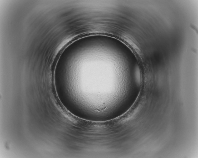 X0000096420933200801241314