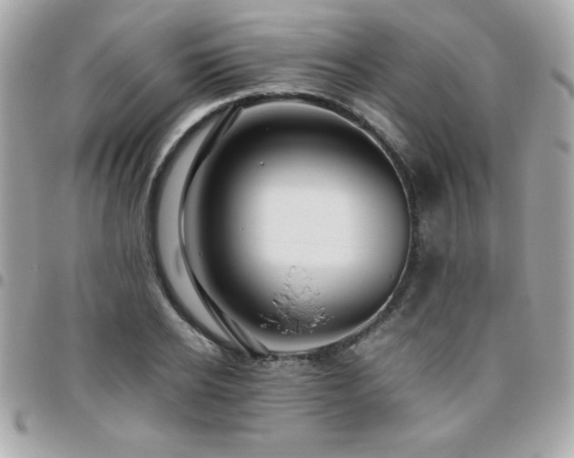 X0000096420934200801241314