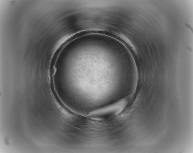 X0000096420935200801241314