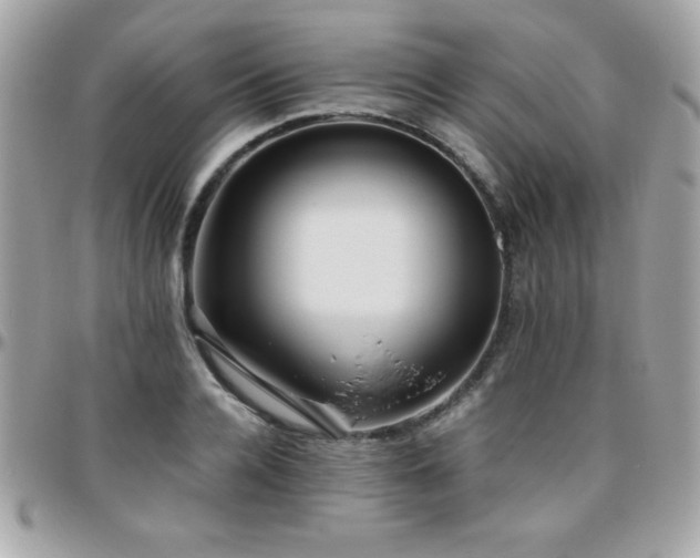 X0000096420936200801241314
