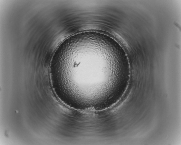 X0000096420937200801241314