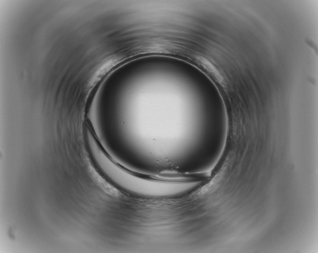 X0000096420938200801241314