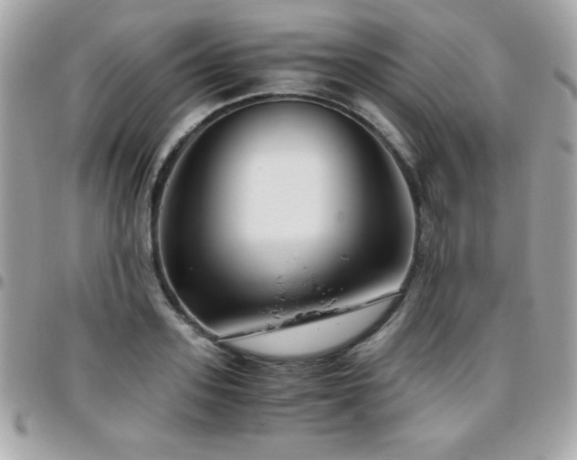 X0000096420939200801241314