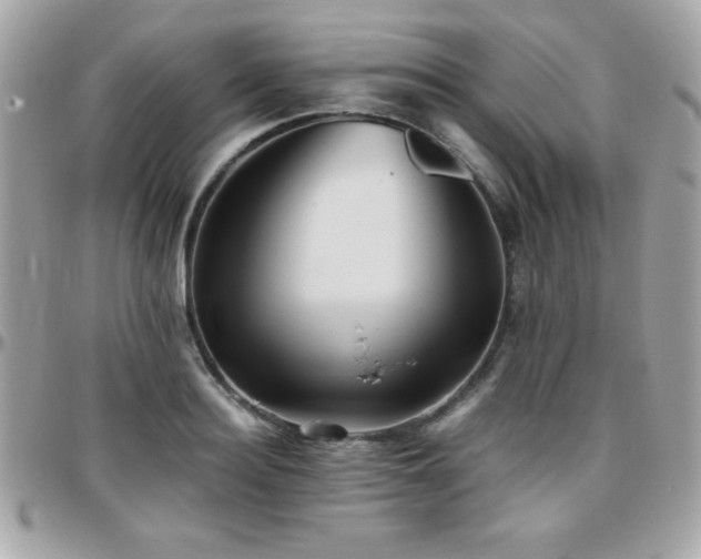 X0000096420940200801241314