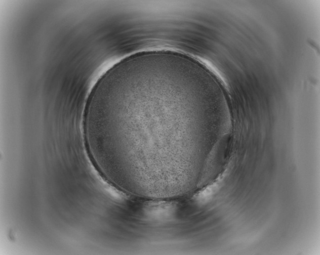 X0000096420943200801241314