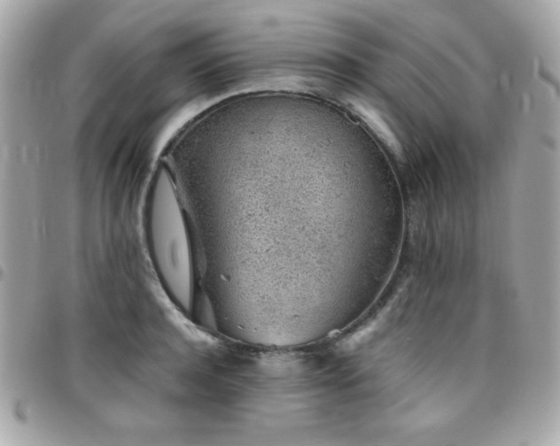 X0000096420944200801241314