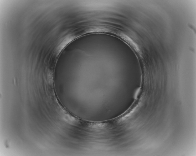 X0000096420945200801241314