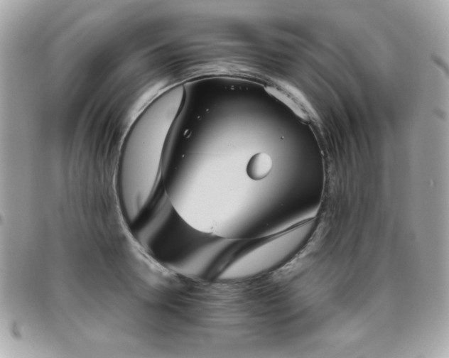 X0000096420946200801241314