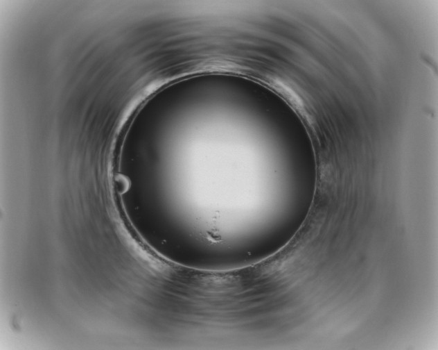 X0000096420947200801241314