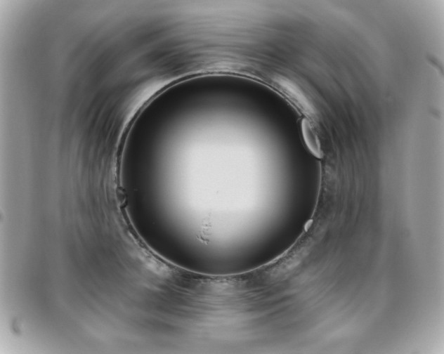 X0000096420948200801241314