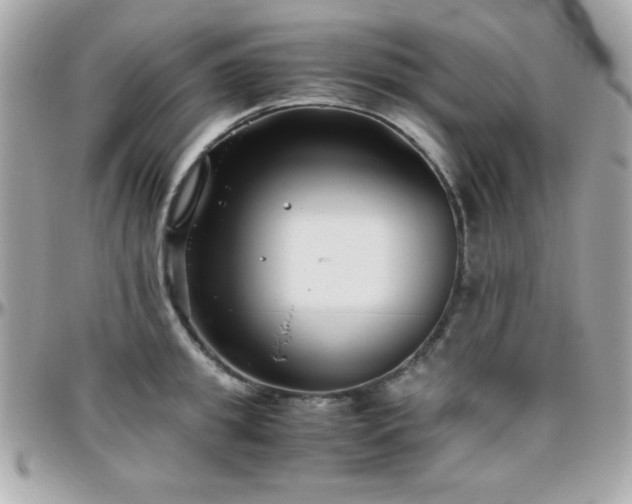 X0000096420949200801241314