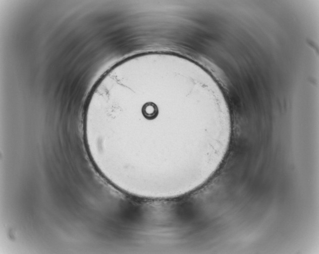 X0000096420950200801241314