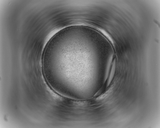 X0000096420951200801241314