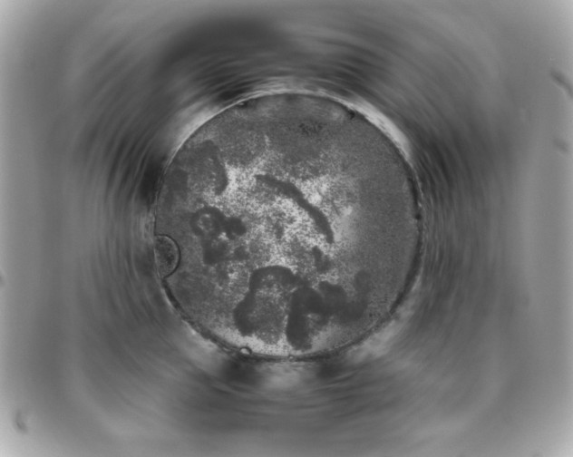 X0000096420953200801241314