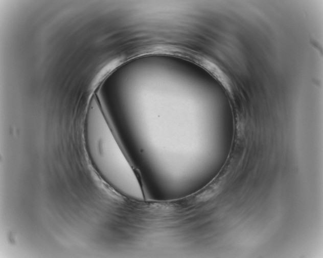 X0000096420954200801241314