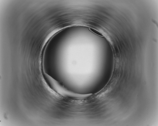 X0000096420955200801241314