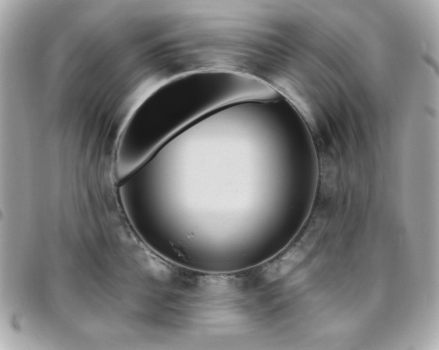 X0000096420956200801241314