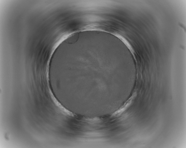 X0000096420957200801241314