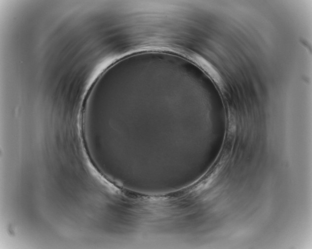 X0000096420958200801241314