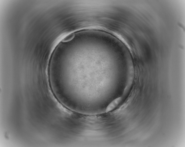 X0000096420959200801241314