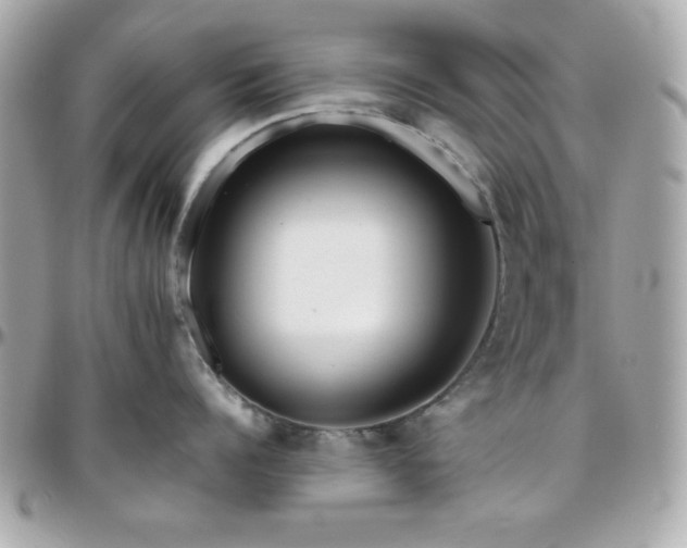 X0000096420960200801241314