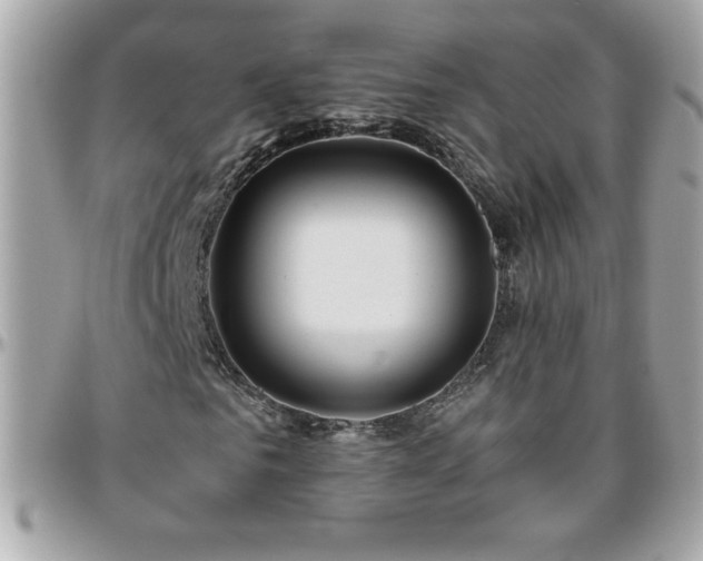 X0000096420961200801241313