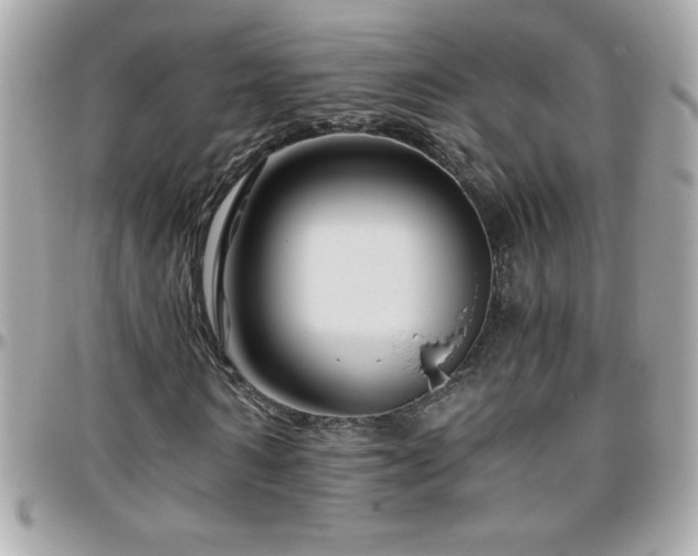 X0000096420962200801241313