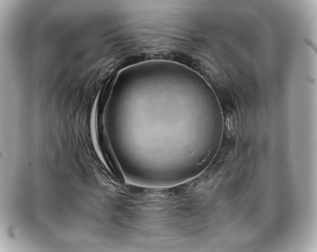 X0000096420963200801241313