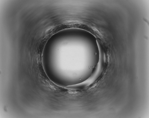 X0000096420965200801241313